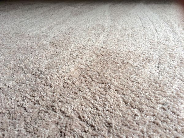 Plush Carpet Installation in Syracuse