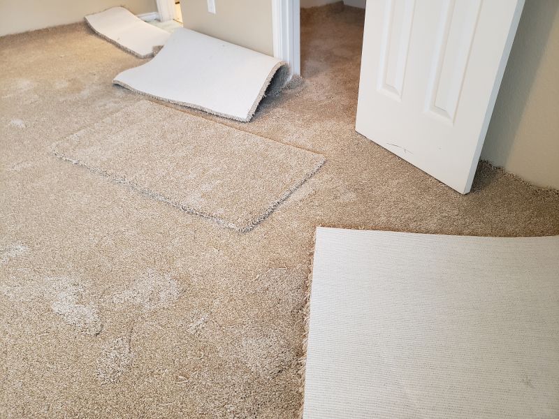Basement Carpet Repair