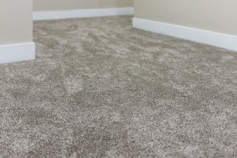Fresh Carpet Look