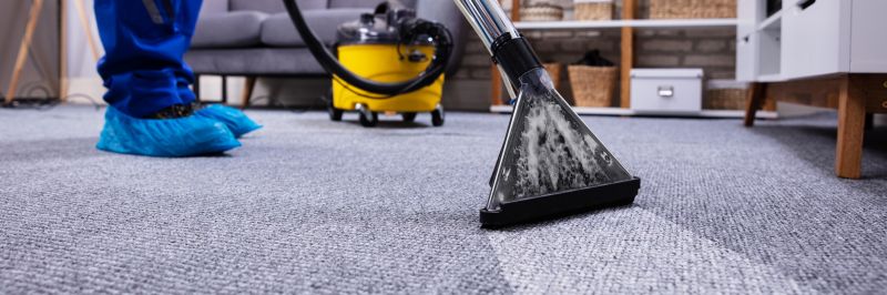 Eco-Friendly Carpet Cleaners